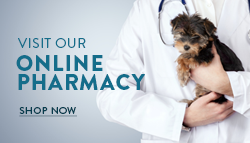Hometown Pet Care Shop Online Pharmacy
